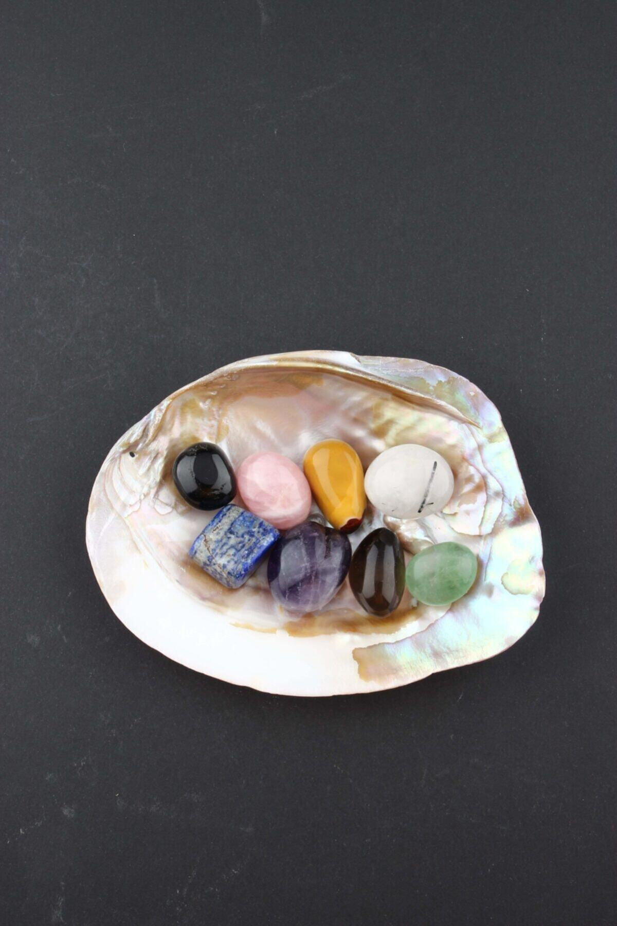 Midye Kabuğu-lapis-turmalin-florit-pembe Kuvars-ametist-jasper-dumanlı Kuvars- Rutilli Kristal-set