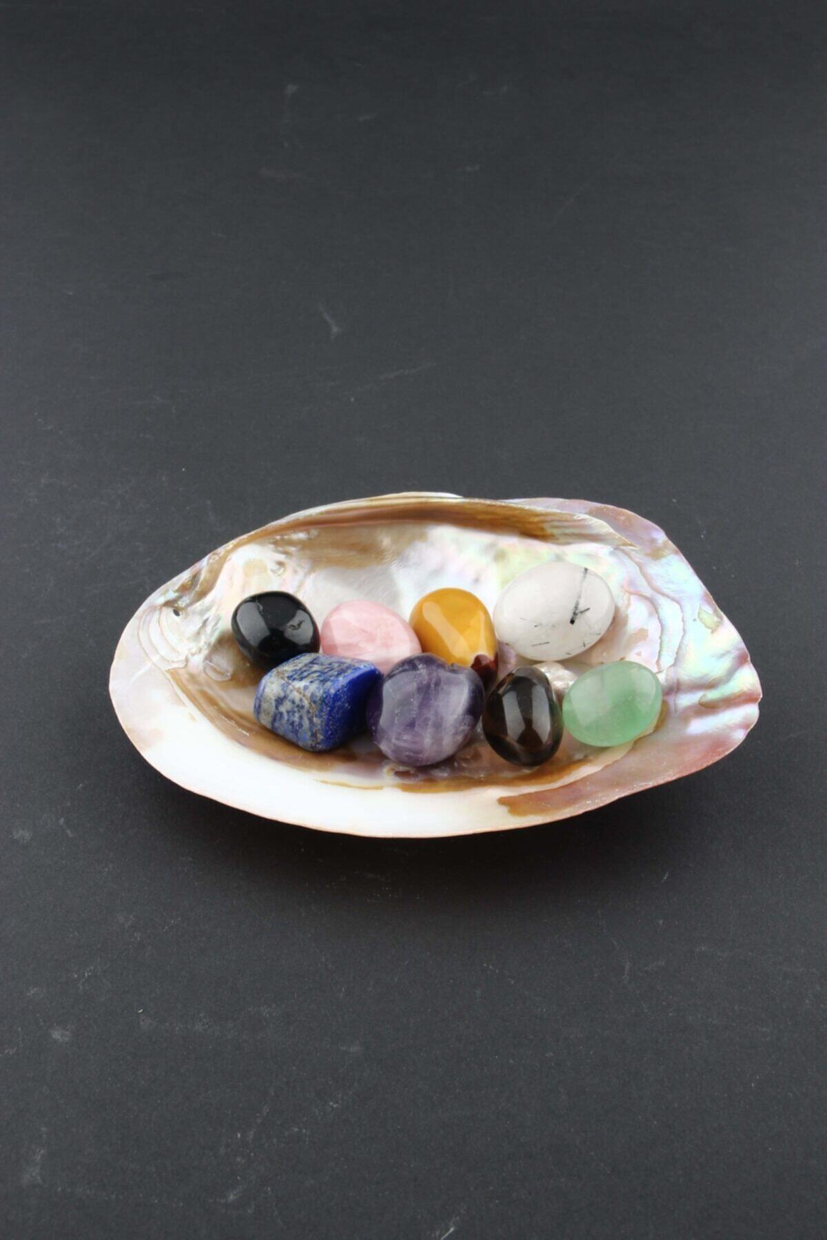Midye Kabuğu-lapis-turmalin-florit-pembe Kuvars-ametist-jasper-dumanlı Kuvars- Rutilli Kristal-set