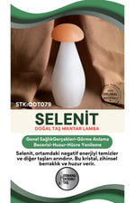 SERTİFİKALI Selenit Doğal Taş Mantar Lamba ODT079