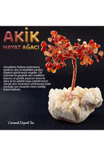 Sertifikalı Akik, Kristal Kuvars Doğaltaş Ağaç 8x8 Cm, D040