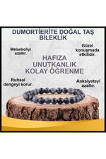 Sertifikalı Dumortierite Doğal Taş Bileklik 6 Mm - B817