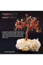 Sertifikalı Turmalin, Kristal Kuvars Doğaltaş Ağaç D031